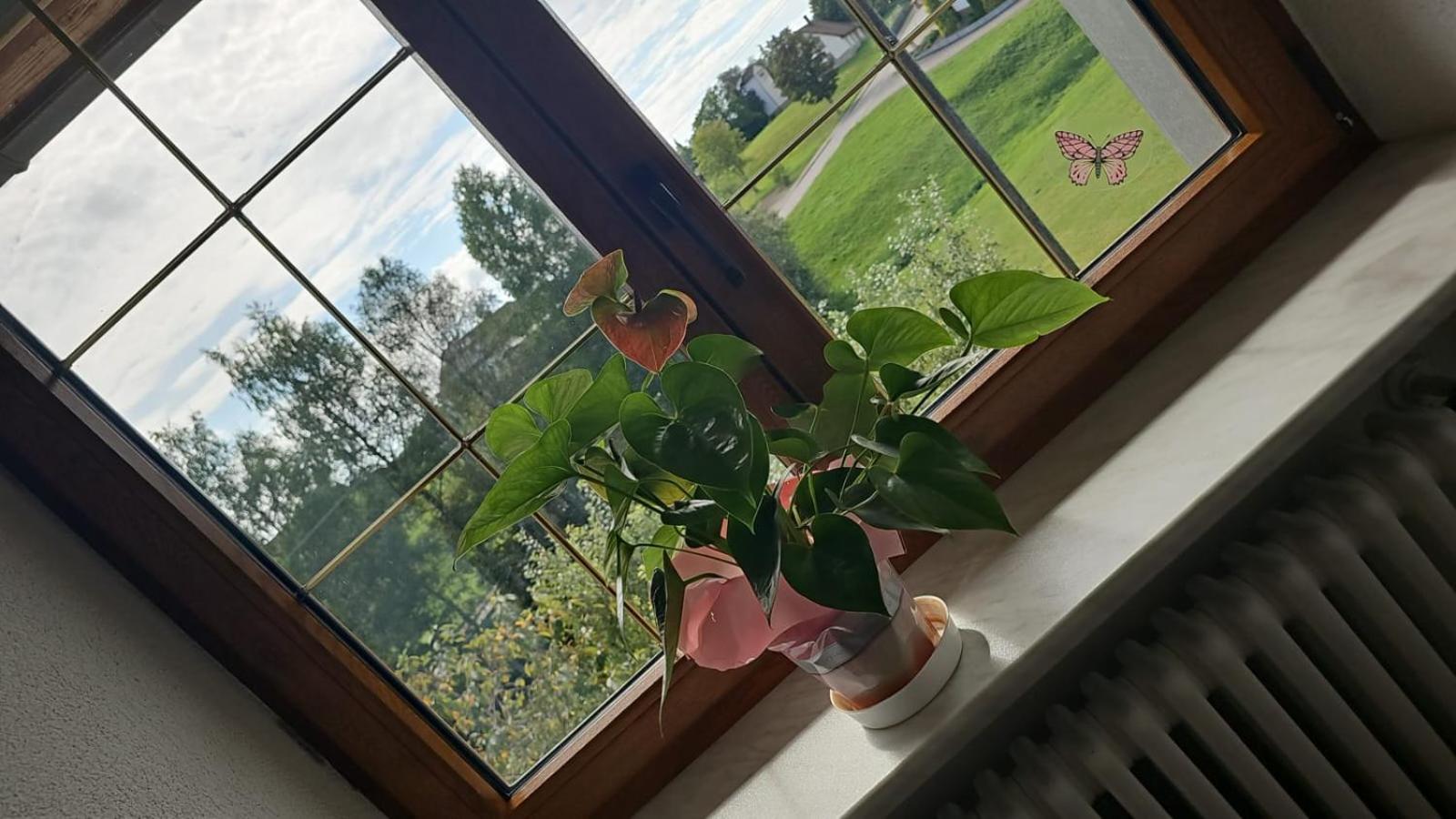 Gasthof Zum Hirschen Strittmatt Exteriör bild